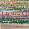ที่ดินสวนเกษตร ปลายนาร่วมฤดี คลอง11 หนองเสือ สด ผ่อน- T.062-1574449