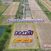 ที่ดินบ้านนาSาคาถูกมาก -สดได้-ผ่อนได้ ( ผ่อนได้ 2 ปี.ฟรีดอก / มี 2.แปลง ) T.062-1574449