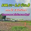 ที่ดินทำเลทองคลอง6 ใกล้ราชมงคลธัญบุรี ที่ดินผ่อนได้ T.062-1574449