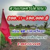 ที่ดินสวนเกษตร ชายทุ่ง ไม่ไกลกรุงแค่คลอง11 หนองเสือ ผ่อนได้สบายใจ- T.062-1574449