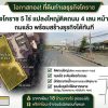 ที่ดินทำเลธุรกิจโคราช 5 ไร่ แปลงใหญ่ติดถนน 4 เลน หน้ากว้าง 51 เมตร ถมแล้ว พร้อมสร้างธุรกิจได้ทันที